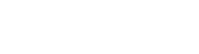 V Global